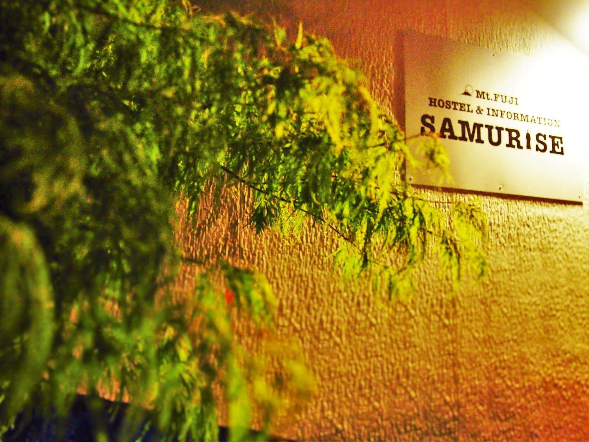 Hostel Samurise Mt Fuji Fujikawaguchiko Eksteriør billede
